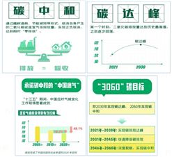 什么是碳達峰、碳中和？碳達峰與碳中和發(fā)展路徑下的電力系統(tǒng)規(guī)劃、運行與控制